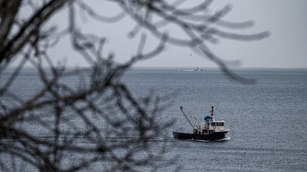 Рыбацкая лодка возвращается в порт на Мраморном море - Sputnik Абхазия
