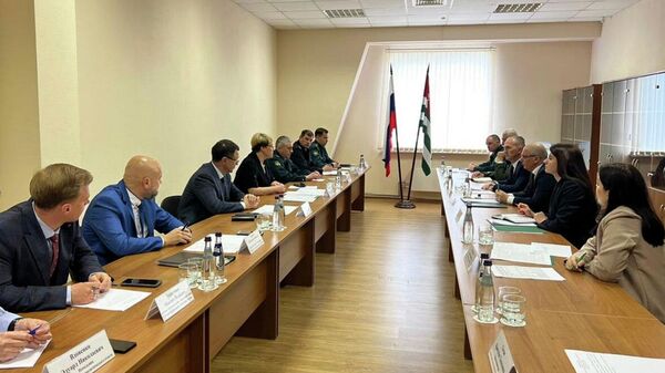 На МАПП Адлер прошла рабочая встреча Государственного таможенного комитета Республики Абхазия - Sputnik Аҧсны
