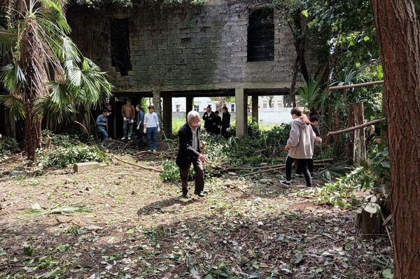 Утопающая в зелени: Минкульт приступил к расчистке здания картинной галереи - Sputnik Абхазия