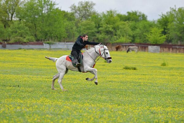 Конные соревнования в последний месяц весны уже стали традицией в Абхазии. - Sputnik Абхазия