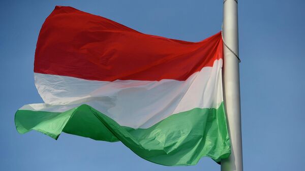 Венгерский национальный флаг - Sputnik Абхазия