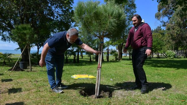 В честь Дня памяти жертв Кавказской войны, у памятника Махаджирам высадили деревья - Sputnik Аҧсны