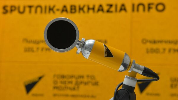 Такие обстоятельства: эксперты о тенденциях в экономике Абхазии - Sputnik Абхазия