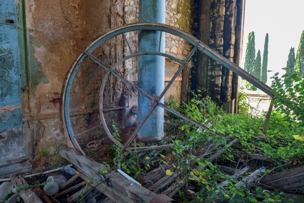 Заброшенное здание стало местом скопления строительного мусора и обросло зеленью. - Sputnik Абхазия