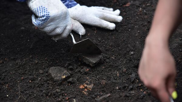 Докопаться до прошлого: как в Сухуме проводят археологические раскопки - Sputnik Абхазия