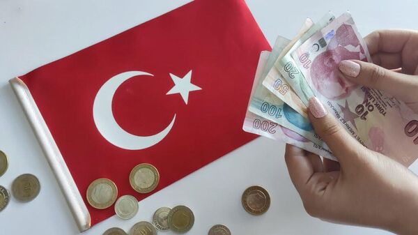 Денежные купюры и монеты: турецкие лиры - Sputnik Абхазия
