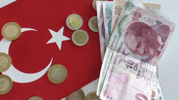 Денежные купюры и монеты: турецкие лиры - Sputnik Аҧсны