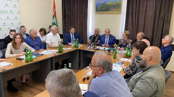 Встреча Аслана Бжания в Общественной Палате - Sputnik Абхазия