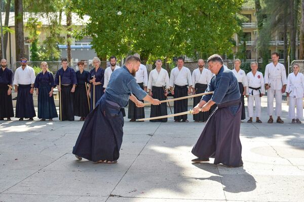 Мастер-классы по японским боевым искусствам будут проходить в Абхазии в течение недели - Sputnik Абхазия
