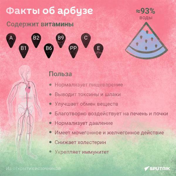 Факты об арбузе  - Sputnik Абхазия