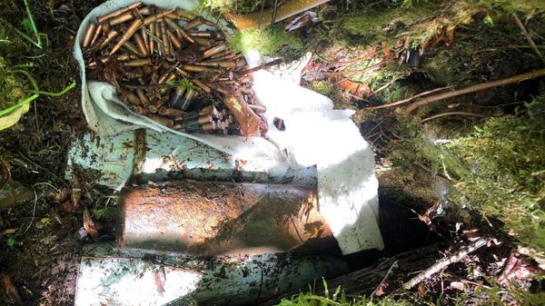 Артиллерийские боеприпасы были найдены в Кодорском ущелье - Sputnik Абхазия