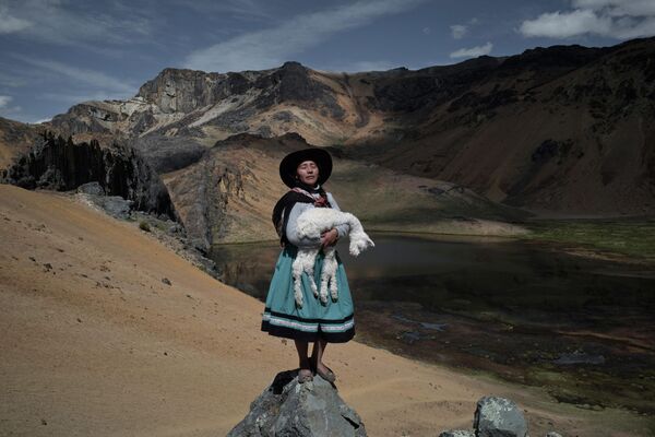 &quot;Альпакерос&quot; Алессандро Чинкве - портрет 35-летней женщины, семья которой в течение трех поколений занимается выращиванием альпак в перуанских Андах.  - Sputnik Абхазия