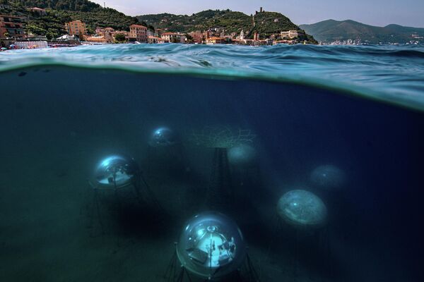&quot;Сад Немо&quot; - итальянец Джакомо д&#x27;Орландо сфотографировал первый в мире комплекс подводных теплиц в районе итальянской деревушки Ноли. - Sputnik Абхазия