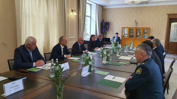 Рабочая встреча должностных лиц Государственного таможенного комитета Республики Абхазия - Sputnik Аҧсны