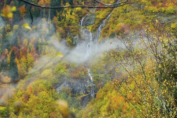 По утрам горы и холмы в парке охватывает полупрозрачный туман. - Sputnik Абхазия