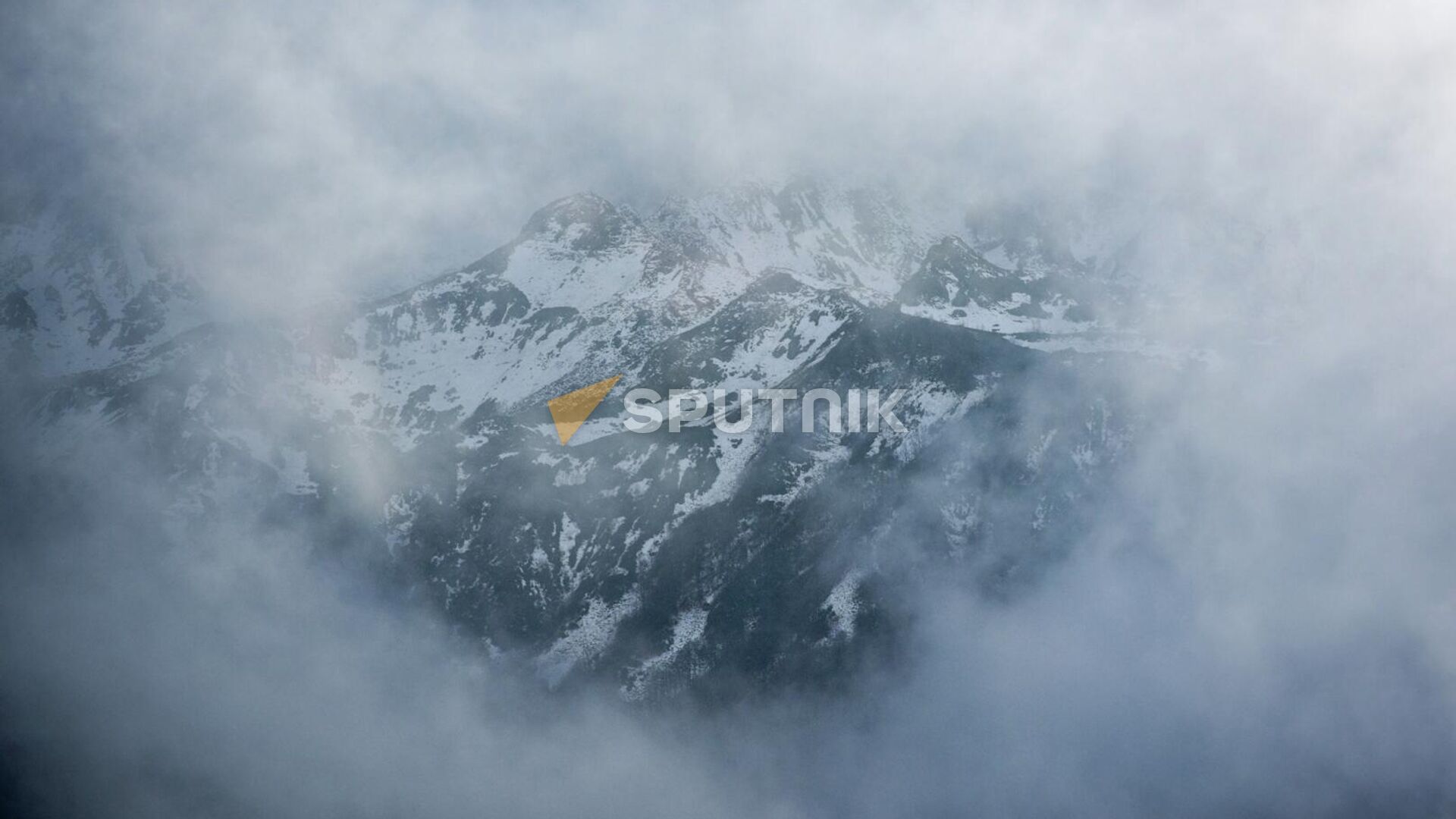 Осень в Реликтовом Национальном парке  - Sputnik Абхазия, 1920, 17.01.2026