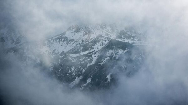 Осень в Реликтовом Национальном парке  - Sputnik Абхазия