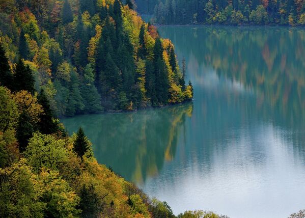 Визитная карточка парка – это одноименное озеро ледниково-тектонического происхождения. Оно расположено на высоте 950 метров над уровнем моря. - Sputnik Абхазия