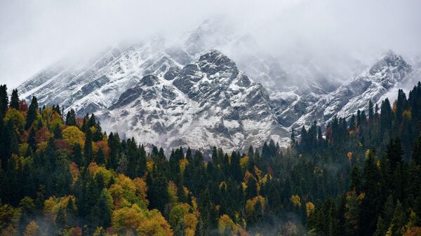 Осень в Реликтовом Национальном парке  - Sputnik Абхазия