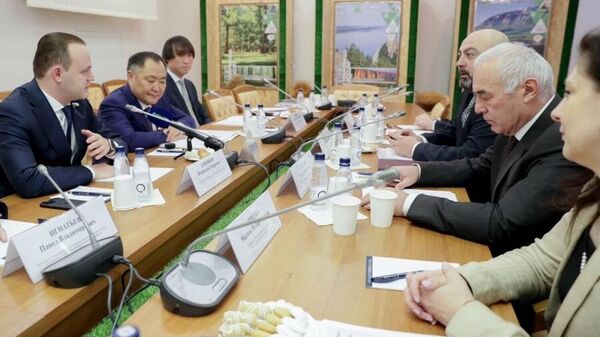В Госдуме обсудили ряд вопросов российско-абхазского сотрудничества в сфере туризма - Sputnik Абхазия