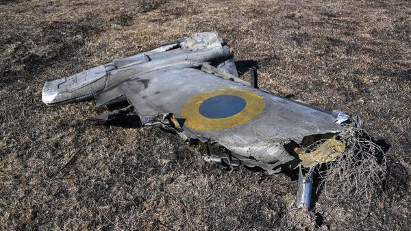 Сбитый украинский штурмовик Су-25 в Херсонской области - Sputnik Абхазия
