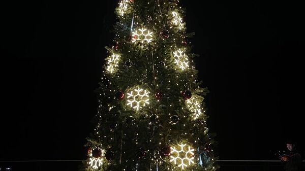 Новогодняя елка на озере Рица  - Sputnik Абхазия