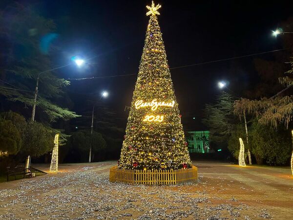 Яркую и красочную елку установили и в Гудауте. Ее украшает светящаяся надпись на абхазском языке: &quot;Ҽаанбзиала!&quot; - &quot;С праздником!&quot;. - Sputnik Абхазия