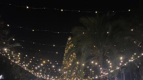 Новогодняя елка города Новый Афон  - Sputnik Абхазия