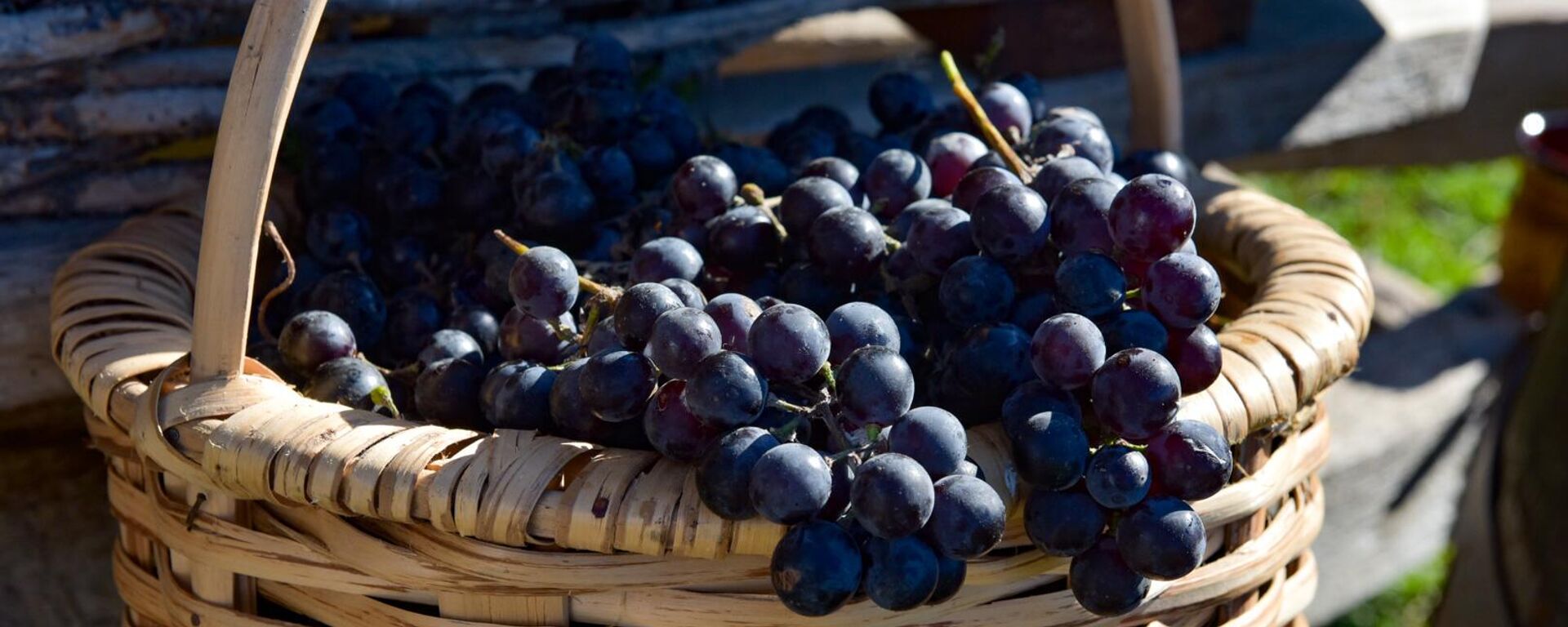 Традиционный праздник урожая прошел на исторической поляне в селе Лыхны с участием представителей всех сел Гудаутского района и Нового Афона в воскресенье 30 октября  - Sputnik Абхазия, 1920, 21.09.2024