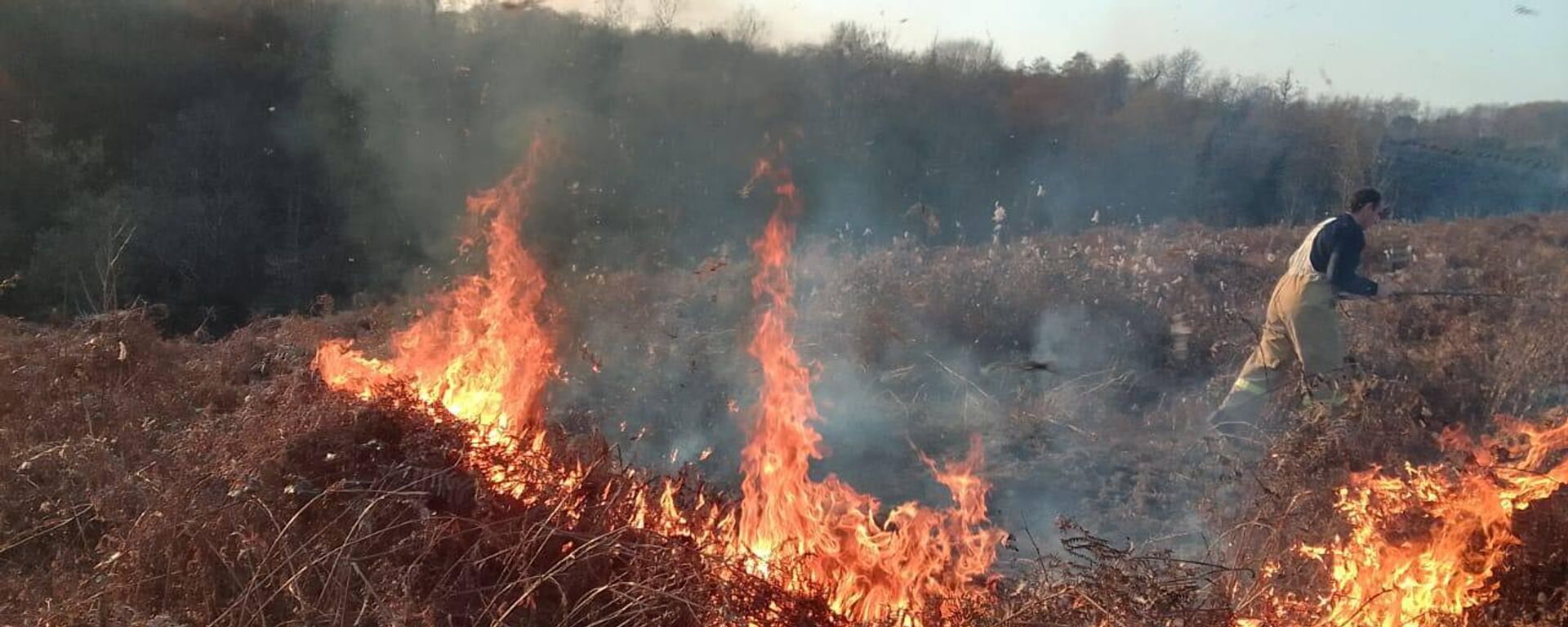 Пять гектаров сухостоя загорелись в Очамчырском районе - Sputnik Аҧсны, 1920, 23.01.2023