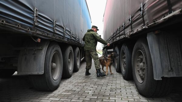 Очереди из грузовиков у российско-литовской таможни - Sputnik Абхазия