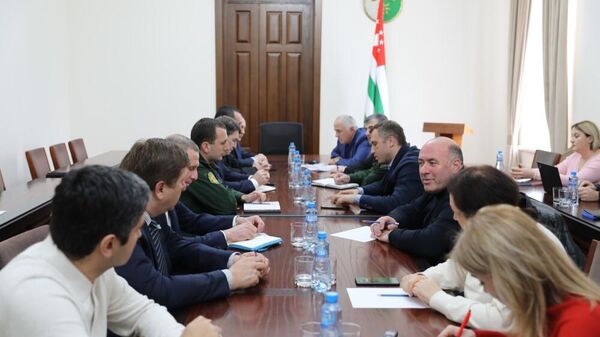 Комиссия по делимитации госграницы возобновила свою работу - Sputnik Абхазия
