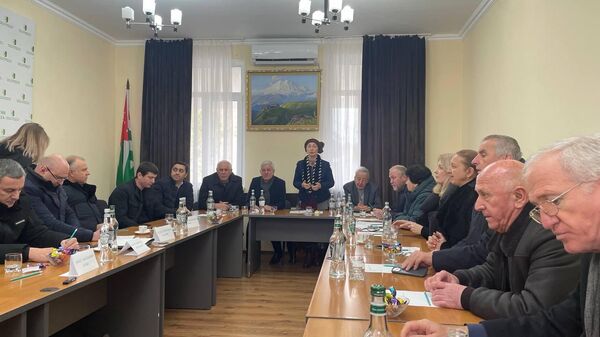 Закрытое обсуждение проблем энергетики и путей вывода отрасли из кризиса обсудили члены Общественной палаты - Sputnik Абхазия