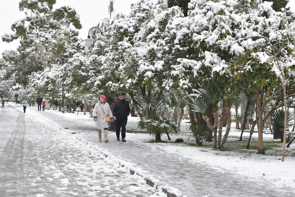 Несколько дней на побережье Абхазии шел снег. - Sputnik Абхазия