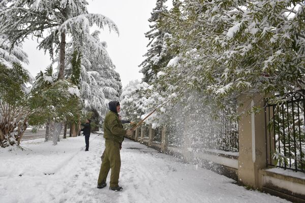 Ботанический сад в снегу  - Sputnik Абхазия