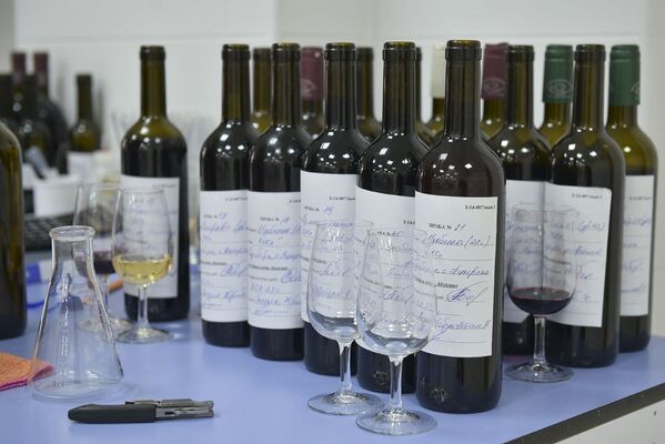 В белых винах оценивают кислотность, в красных – содержание фенольных веществ. - Sputnik Абхазия