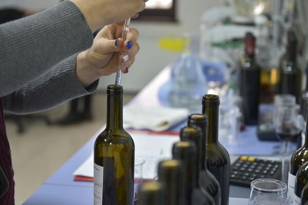 Истина о вине: как производят традиционный напиток в Абхазии - Sputnik Абхазия