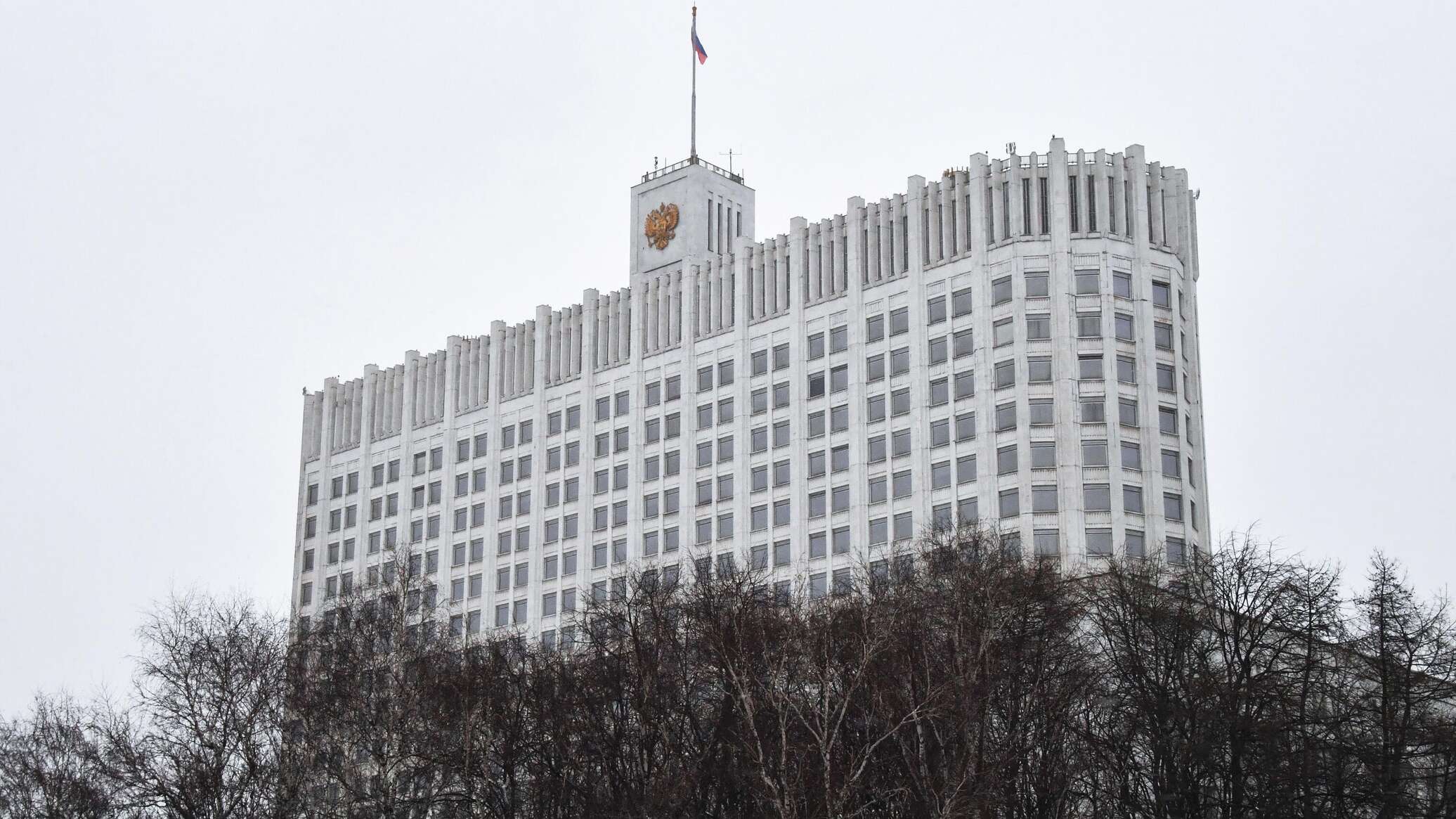 Правительство