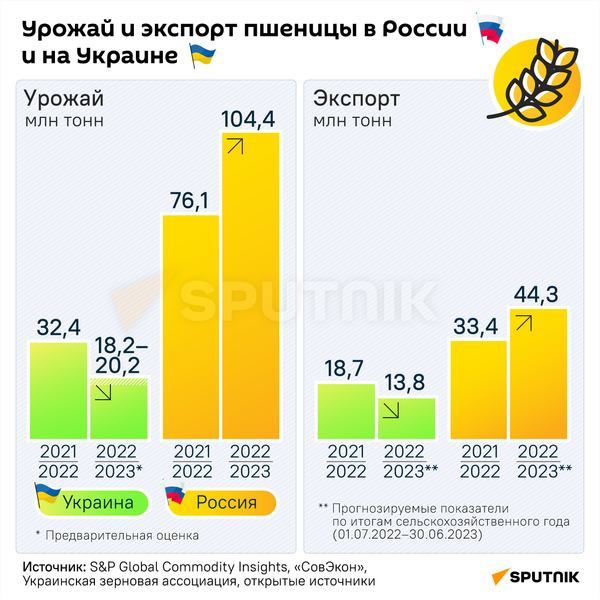 Урожай и экспорт в Россию и на Украину 2 - Sputnik Абхазия