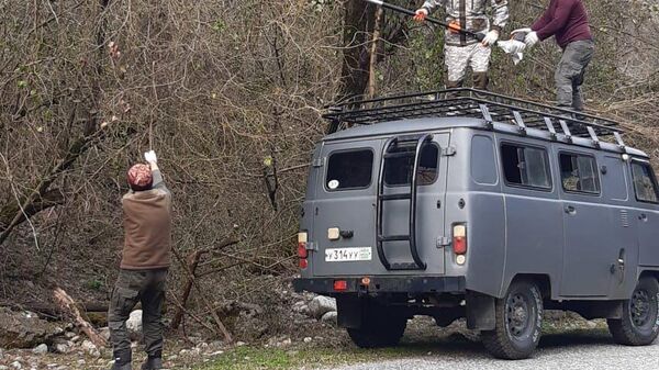 Рицинский нацпарк приводят в порядок после снегопадов - Sputnik Абхазия