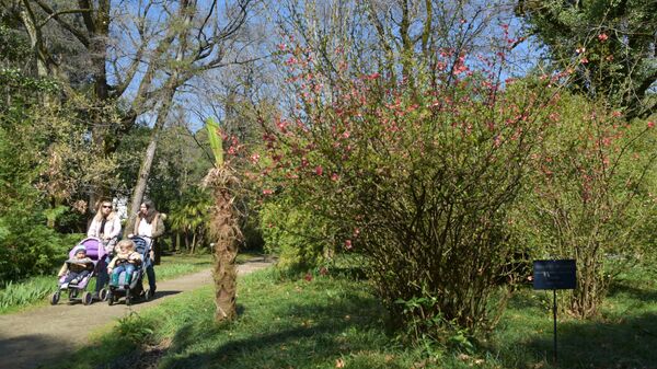 Весна в Абхазии  - Sputnik Аҧсны