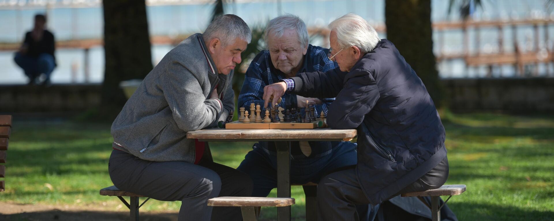 Весна в Абхазии  - Sputnik Абхазия, 1920, 09.07.2025