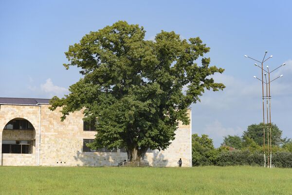 Лыхненский храм и древняя липа. Архивные кадры  Лыхненский храм и древняя липа. Архивные кадры  - Sputnik Аҧсны
