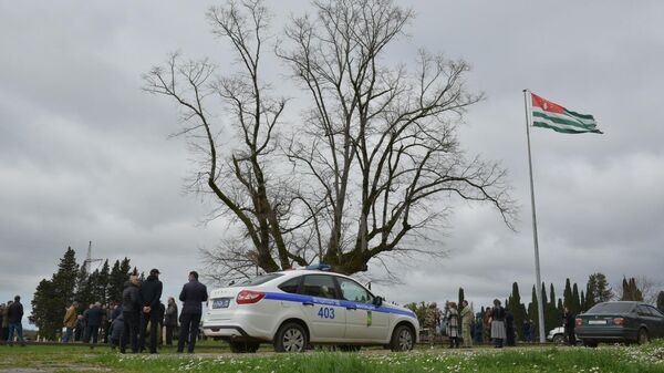 Многовековое дерево повредили на исторической поляне в селе Лыхны - Sputnik Абхазия