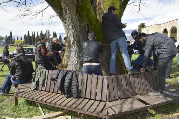 В работе по спасению липы экологам помогли крестьяне, сотрудники милиции, молодежь. - Sputnik Абхазия
