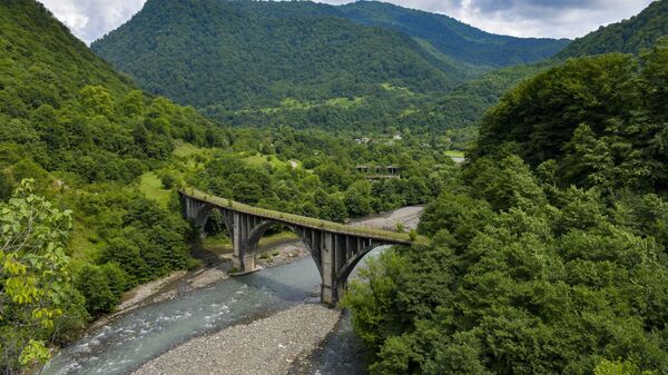 Цветущие гортензии в Акармаре - Sputnik Абхазия