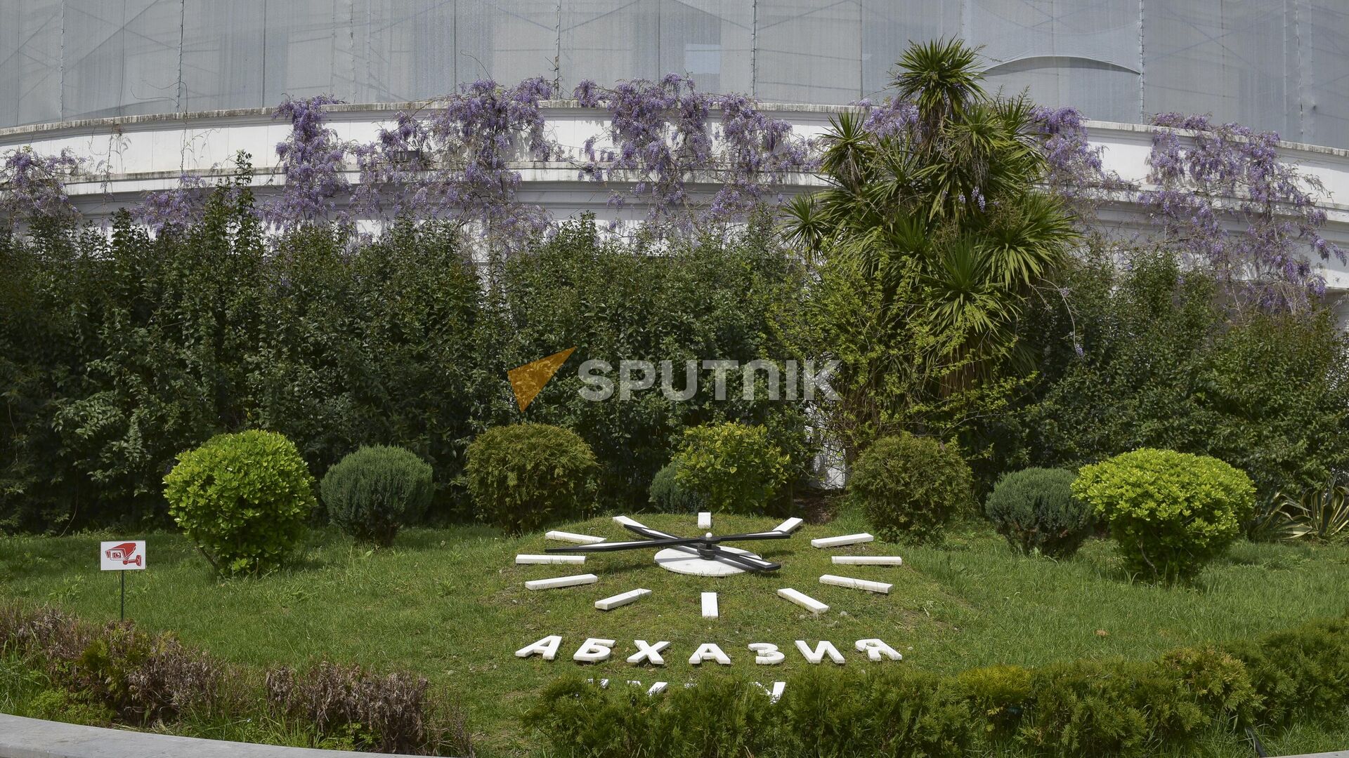 Цветущая глициния - Sputnik Абхазия, 1920, 21.04.2023