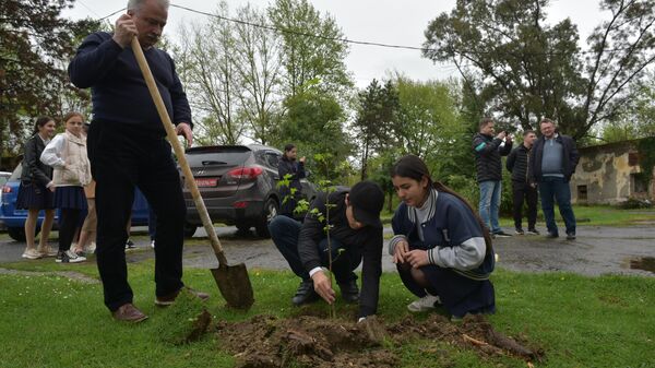 Международная акция Сад памяти в селе Эшера - Sputnik Аҧсны