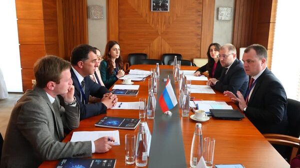 Руководители Госстандарта Абхазии и России обсудили перспективы сотрудничества - Sputnik Аҧсны