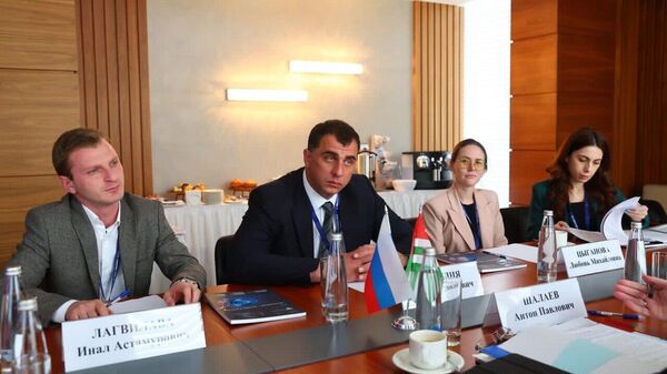 Руководители Госстандарта Абхазии и России обсудили перспективы сотрудничества - Sputnik Абхазия